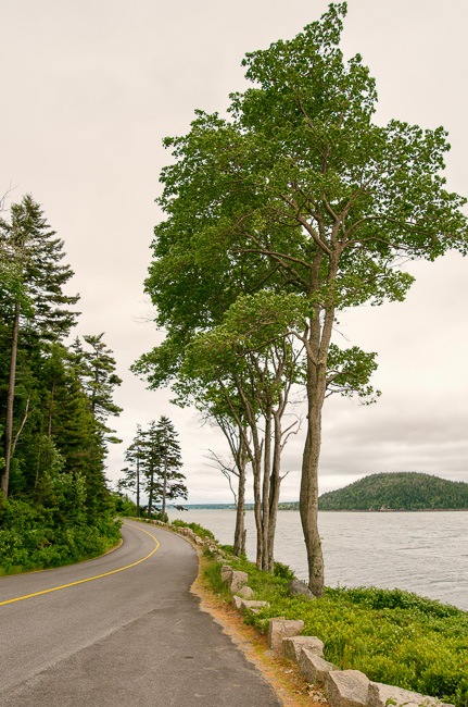 w_DK5S2131-Edit-Edit-Edit_650