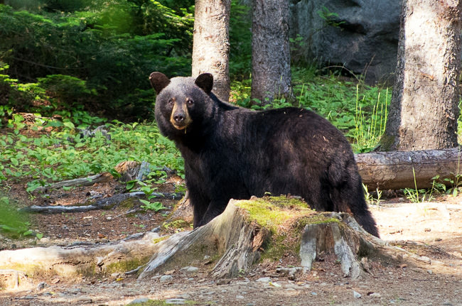 w_DK5S2633-Edit-2_650