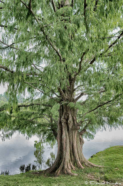 w_w_DK5S2774-Edit_1024-2_650