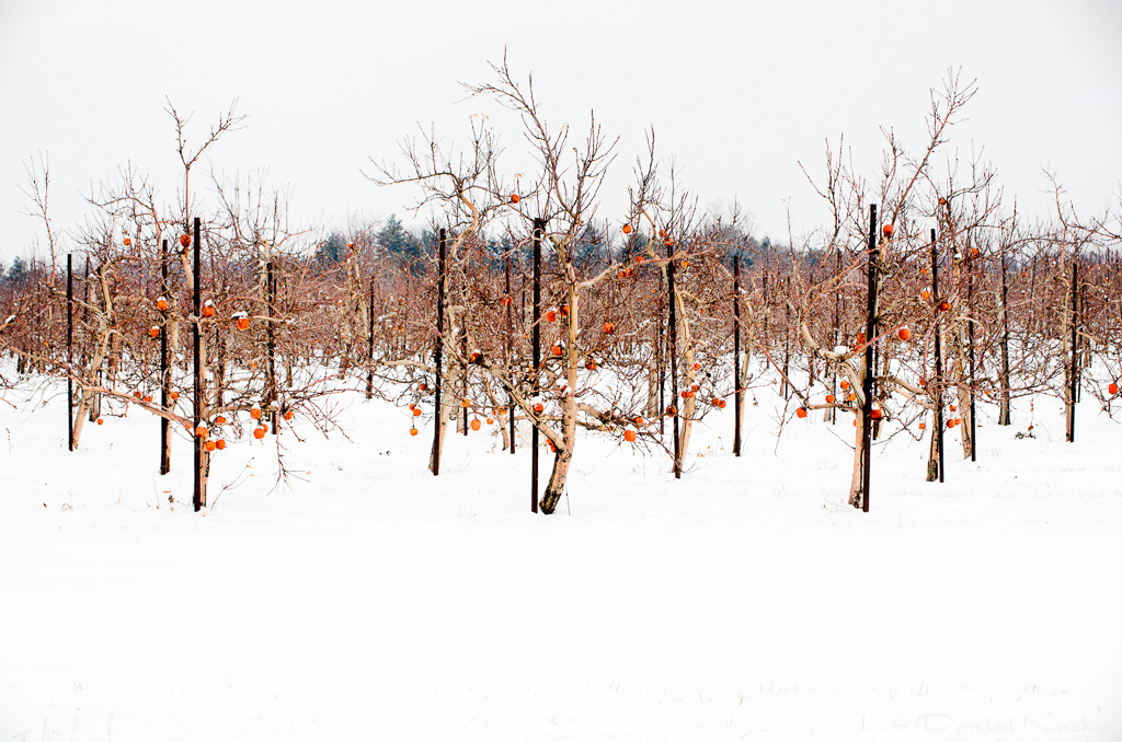 DK5S4579-Edit-Edit_1024